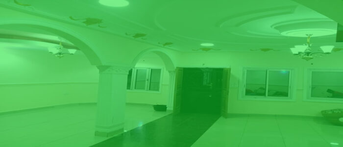 Mental health services in Cameroon 2